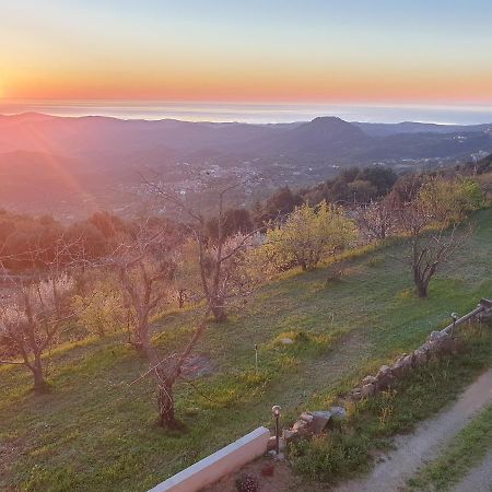 Oasi Del Benessere Ilbono ภายนอก รูปภาพ